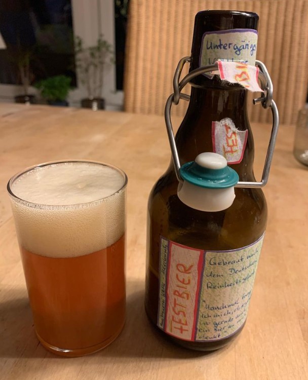 Festival Bier im Glas